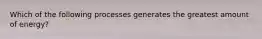 Which of the following processes generates the greatest amount of energy?