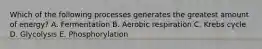 Which of the following processes generates the greatest amount of energy? A. Fermentation B. Aerobic respiration C. Krebs cycle D. Glycolysis E. Phosphorylation