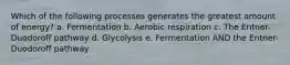 Which of the following processes generates the greatest amount of energy? a. Fermentation b. Aerobic respiration c. The Entner-Duodoroff pathway d. Glycolysis e. Fermentation AND the Entner-Duodoroff pathway