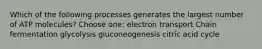 Which of the following processes generates the largest number of ATP molecules? Choose one: electron transport Chain fermentation glycolysis gluconeogenesis citric acid cycle