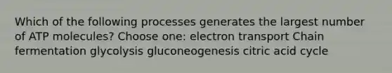 Which of the following processes generates the largest number of ATP molecules? Choose one: electron transport Chain fermentation glycolysis gluconeogenesis citric acid cycle