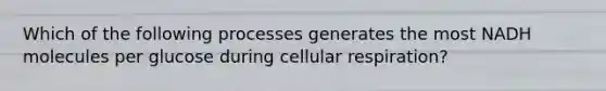 Which of the following processes generates the most NADH molecules per glucose during cellular respiration?