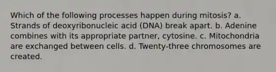 Which of the following processes happen during mitosis? a. Strands of deoxyribonucleic acid (DNA) break apart. b. Adenine combines with its appropriate partner, cytosine. c. Mitochondria are exchanged between cells. d. Twenty-three chromosomes are created.