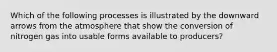 Which of the following processes is illustrated by the downward arrows from the atmosphere that show the conversion of nitrogen gas into usable forms available to producers?