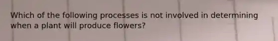 Which of the following processes is not involved in determining when a plant will produce flowers?