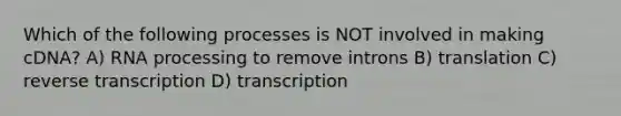 Which of the following processes is NOT involved in making cDNA? A) RNA processing to remove introns B) translation C) reverse transcription D) transcription