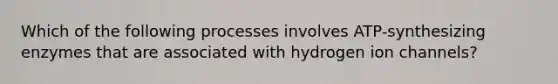 Which of the following processes involves ATP-synthesizing enzymes that are associated with hydrogen ion channels?