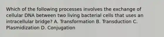 Which of the following processes involves the exchange of cellular DNA between two living bacterial cells that uses an intracellular bridge? A. Transformation B. Transduction C. Plasmidization D. Conjugation