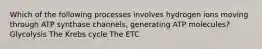 Which of the following processes involves hydrogen ions moving through ATP synthase channels, generating ATP molecules? Glycolysis The Krebs cycle The ETC