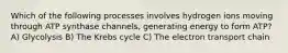 Which of the following processes involves hydrogen ions moving through ATP synthase channels, generating energy to form ATP? A) Glycolysis B) The Krebs cycle C) The electron transport chain