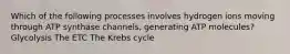 Which of the following processes involves hydrogen ions moving through ATP synthase channels, generating ATP molecules? Glycolysis The ETC The Krebs cycle