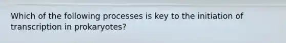 Which of the following processes is key to the initiation of transcription in prokaryotes?