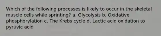 Which of the following processes is likely to occur in the skeletal muscle cells while sprinting? a. Glycolysis b. Oxidative phosphorylation c. The Krebs cycle d. Lactic acid oxidation to pyruvic acid