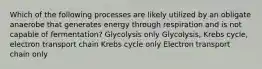 Which of the following processes are likely utilized by an obligate anaerobe that generates energy through respiration and is not capable of fermentation? Glycolysis only Glycolysis, Krebs cycle, electron transport chain Krebs cycle only Electron transport chain only