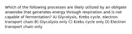 Which of the following processes are likely utilized by an obligate anaerobe that generates energy through respiration and is not capable of fermentation? A) Glycolysis, Krebs cycle, electron transport chain B) Glycolysis only C) Krebs cycle only D) Electron transport chain only