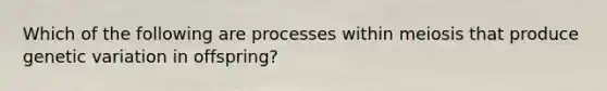 Which of the following are processes within meiosis that produce genetic variation in offspring?