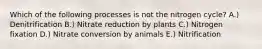 Which of the following processes is not the nitrogen cycle? A.) Denitrification B.) Nitrate reduction by plants C.) Nitrogen fixation D.) Nitrate conversion by animals E.) Nitrification