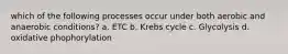 which of the following processes occur under both aerobic and anaerobic conditions? a. ETC b. Krebs cycle c. Glycolysis d. oxidative phophorylation
