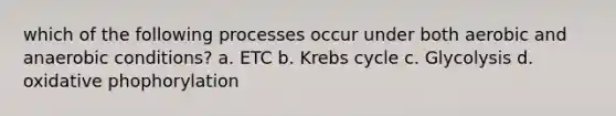 which of the following processes occur under both aerobic and anaerobic conditions? a. ETC b. Krebs cycle c. Glycolysis d. oxidative phophorylation