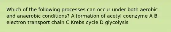 Which of the following processes can occur under both aerobic and anaerobic conditions? A formation of acetyl coenzyme A B electron transport chain C Krebs cycle D glycolysis