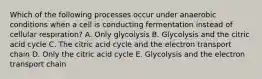 Which of the following processes occur under anaerobic conditions when a cell is conducting fermentation instead of cellular respiration? A. Only glycolysis B. Glycolysis and the citric acid cycle C. The citric acid cycle and the electron transport chain D. Only the citric acid cycle E. Glycolysis and the electron transport chain