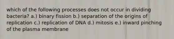 which of the following processes does not occur in dividing bacteria? a.) binary fission b.) separation of the origins of replication c.) replication of DNA d.) mitosis e.) inward pinching of the plasma membrane