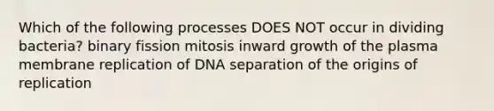 Which of the following processes DOES NOT occur in dividing bacteria? binary fission mitosis inward growth of the plasma membrane replication of DNA separation of the origins of replication