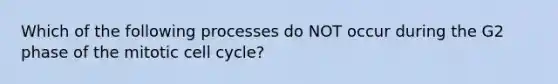 Which of the following processes do NOT occur during the G2 phase of the mitotic cell cycle?