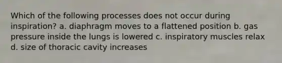 Which of the following processes does not occur during inspiration? a. diaphragm moves to a flattened position b. gas pressure inside the lungs is lowered c. inspiratory muscles relax d. size of thoracic cavity increases