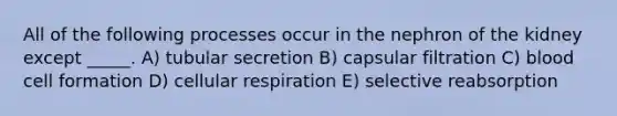 All of the following processes occur in the nephron of the kidney except _____. A) tubular secretion B) capsular filtration C) blood cell formation D) cellular respiration E) selective reabsorption