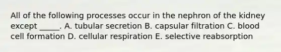 All of the following processes occur in the nephron of the kidney except _____. A. tubular secretion B. capsular filtration C. blood cell formation D. <a href='https://www.questionai.com/knowledge/k1IqNYBAJw-cellular-respiration' class='anchor-knowledge'>cellular respiration</a> E. selective reabsorption