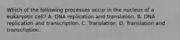 Which of the following processes occur in the nucleus of a eukaryotic cell? A. DNA replication and translation. B. DNA replication and transcription. C. Translation. D. Translation and transcription.