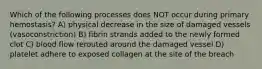 Which of the following processes does NOT occur during primary hemostasis? A) physical decrease in the size of damaged vessels (vasoconstriction) B) fibrin strands added to the newly formed clot C) blood flow rerouted around the damaged vessel D) platelet adhere to exposed collagen at the site of the breach