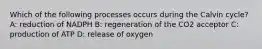 Which of the following processes occurs during the Calvin cycle? A: reduction of NADPH B: regeneration of the CO2 acceptor C: production of ATP D: release of oxygen