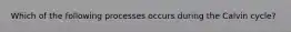 Which of the following processes occurs during the Calvin cycle?