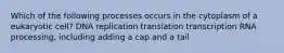 Which of the following processes occurs in the cytoplasm of a eukaryotic cell? DNA replication translation transcription RNA processing, including adding a cap and a tail