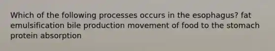 Which of the following processes occurs in the esophagus? fat emulsification bile production movement of food to the stomach protein absorption