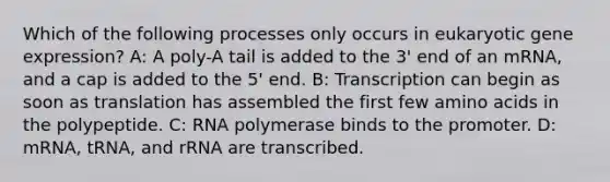 Which of the following processes only occurs in eukaryotic gene expression? A: A poly-A tail is added to the 3' end of an mRNA, and a cap is added to the 5' end. B: Transcription can begin as soon as translation has assembled the first few amino acids in the polypeptide. C: RNA polymerase binds to the promoter. D: mRNA, tRNA, and rRNA are transcribed.