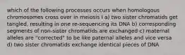 which of the following processes occurs when homologous chromosomes cross over in meiosis I a) two sister chromatids get tangled, resulting in one re-sequencing its DNA b) corresponding segments of non-sister chromatids are exchanged c) maternal alleles are "corrected" to be like paternal alleles and vice versa d) two sister chromatids exchange identical pieces of DNA