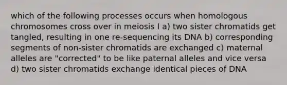 which of the following processes occurs when homologous chromosomes cross over in meiosis I a) two sister chromatids get tangled, resulting in one re-sequencing its DNA b) corresponding segments of non-sister chromatids are exchanged c) maternal alleles are "corrected" to be like paternal alleles and vice versa d) two sister chromatids exchange identical pieces of DNA