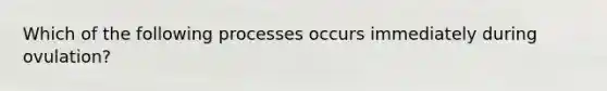 Which of the following processes occurs immediately during ovulation?