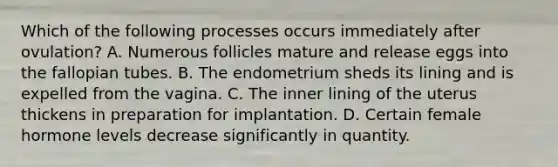 Which of the following processes occurs immediately after ovulation? A. Numerous follicles mature and release eggs into the fallopian tubes. B. The endometrium sheds its lining and is expelled from the vagina. C. The inner lining of the uterus thickens in preparation for implantation. D. Certain female hormone levels decrease significantly in quantity.