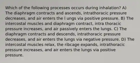 Which of the following processes occurs during inhalation? A) The diaphragm contracts and ascends, intrathoracic pressure decreases, and air enters the l ungs via positive pressure. B) The intercostal muscles and diaphragm contract, intra thoracic pressure increases, and air passively enters the lungs. C) The diaphragm contracts and descends, intrathoracic pressure decreases, and air enters the lungs via negative pressure. D) The intercostal muscles relax, the ribcage expands, intrathoracic pressure increases, and air enters the lungs via positive pressure.