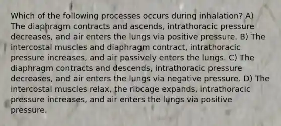 Which of the following processes occurs during inhalation? A) The diaphragm contracts and ascends, intrathoracic pressure decreases, and air enters the lungs via positive pressure. B) The intercostal muscles and diaphragm contract, intrathoracic pressure increases, and air passively enters the lungs. C) The diaphragm contracts and descends, intrathoracic pressure decreases, and air enters the lungs via negative pressure. D) The intercostal muscles relax, the ribcage expands, intrathoracic pressure increases, and air enters the lungs via positive pressure.