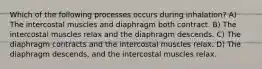 Which of the following processes occurs during inhalation? A) The intercostal muscles and diaphragm both contract. B) The intercostal muscles relax and the diaphragm descends. C) The diaphragm contracts and the intercostal muscles relax. D) The diaphragm descends, and the intercostal muscles relax.