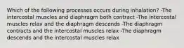 Which of the following processes occurs during inhalation? -The intercostal muscles and diaphragm both contract -The intercostal muscles relax and the diaphragm descends -The diaphragm contracts and the intercostal muscles relax -The diaphragm descends and the intercostal muscles relax