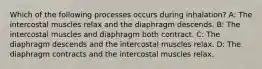 Which of the following processes occurs during inhalation? A: The intercostal muscles relax and the diaphragm descends. B: The intercostal muscles and diaphragm both contract. C: The diaphragm descends and the intercostal muscles relax. D: The diaphragm contracts and the intercostal muscles relax.