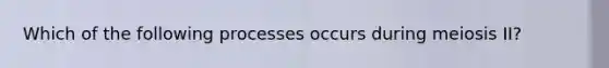 Which of the following processes occurs during meiosis II?