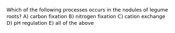 Which of the following processes occurs in the nodules of legume roots? A) carbon fixation B) nitrogen fixation C) cation exchange D) pH regulation E) all of the above