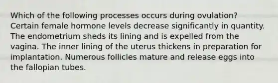 Which of the following processes occurs during ovulation? Certain female hormone levels decrease significantly in quantity. The endometrium sheds its lining and is expelled from the vagina. The inner lining of the uterus thickens in preparation for implantation. Numerous follicles mature and release eggs into the fallopian tubes.